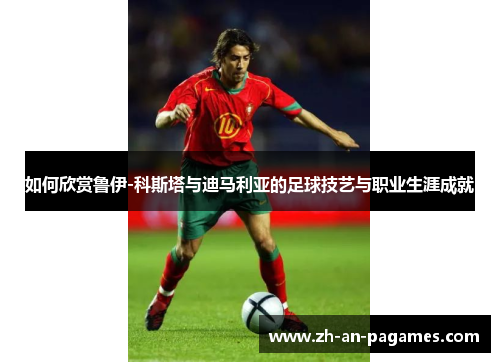如何欣赏鲁伊-科斯塔与迪马利亚的足球技艺与职业生涯成就