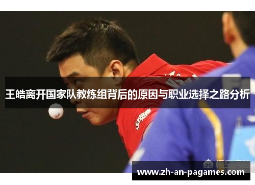 王皓离开国家队教练组背后的原因与职业选择之路分析